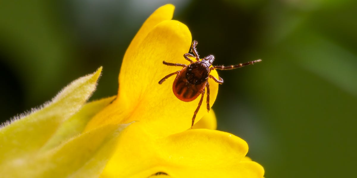 Camisetas com erros clássicos de lógica
