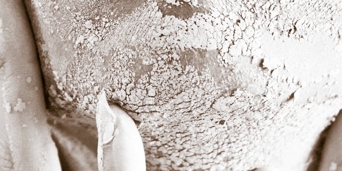 Camisetas com prints de “code review sincero”