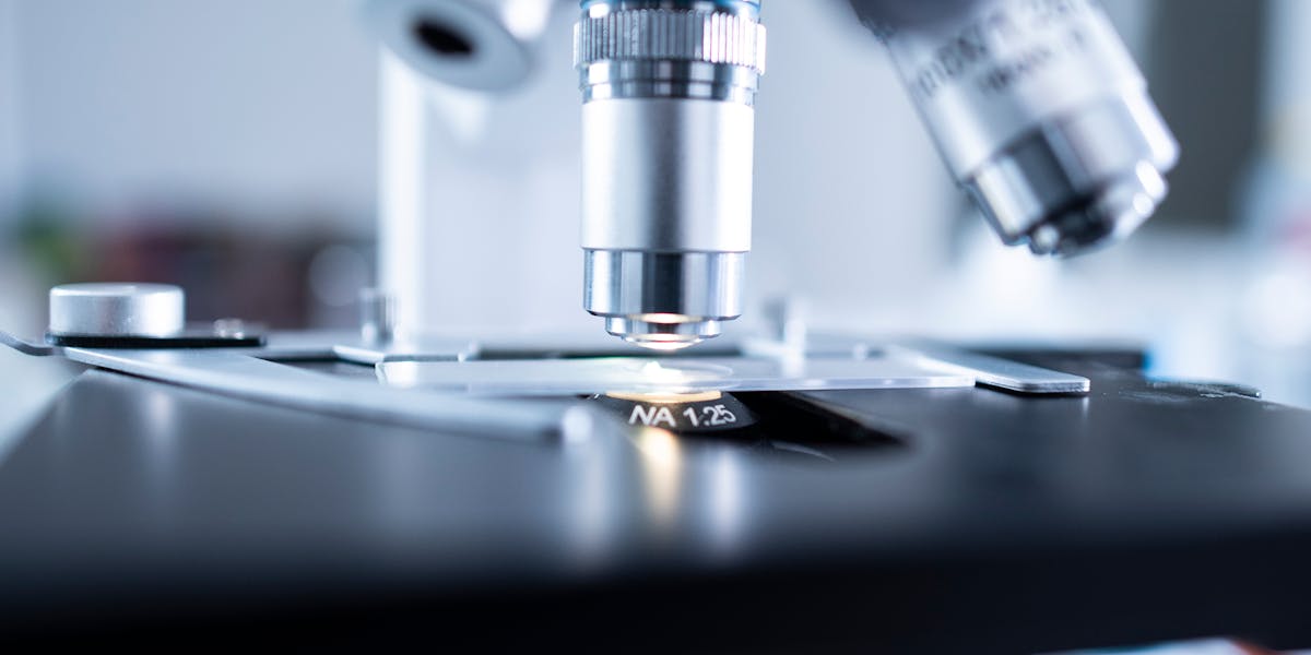 Camiseta dev com print de 100% de cobertura de testes