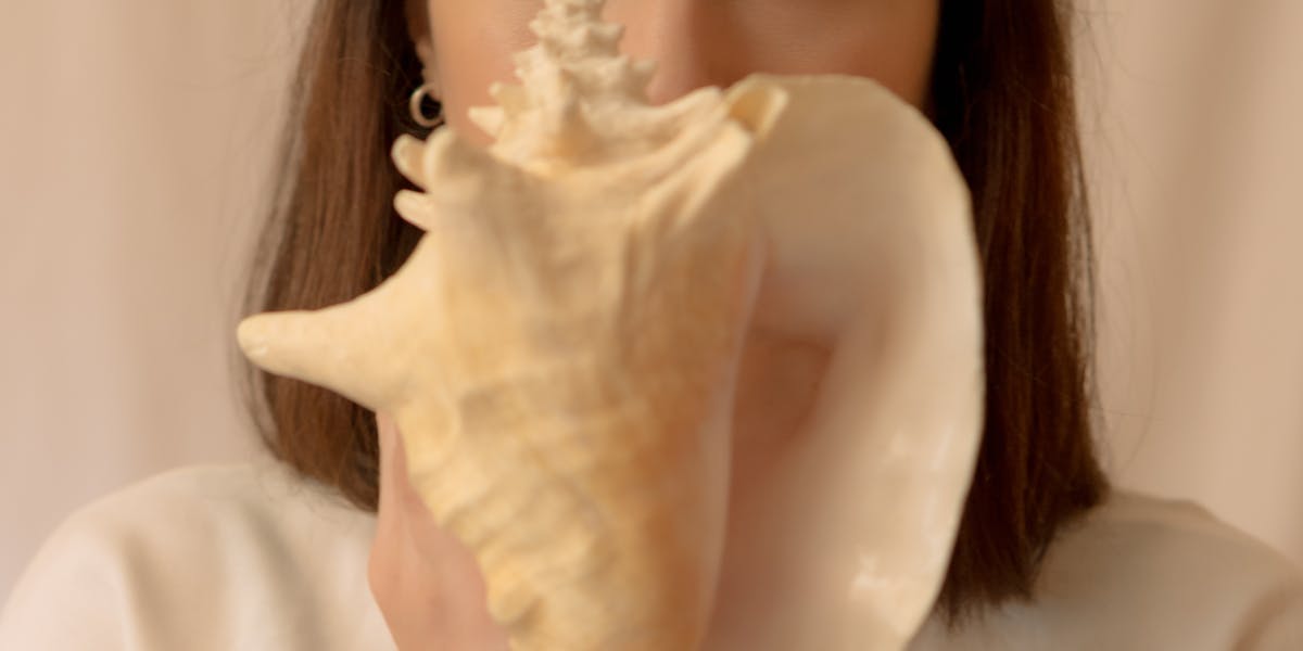 Camiseta dev com referência ao terminal ZSH